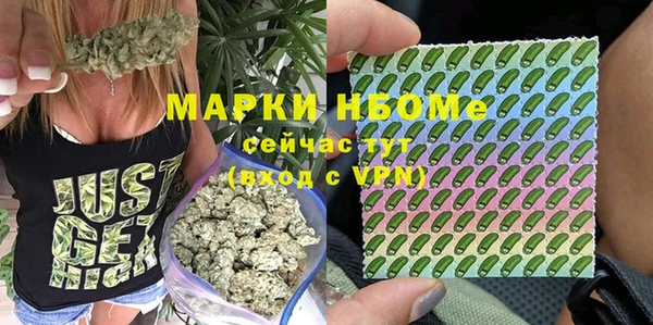 мдпв Бугульма